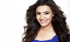 ميداني