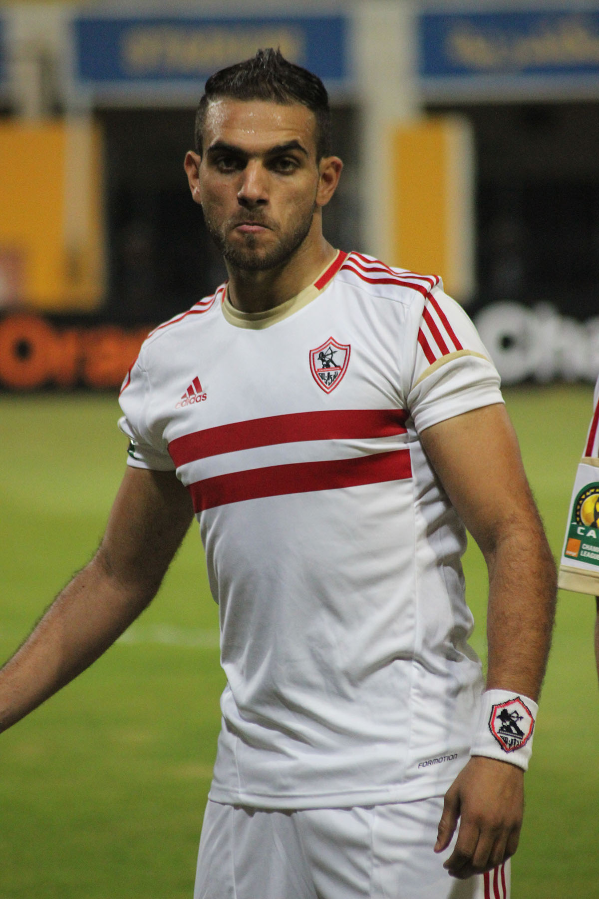 ميداني