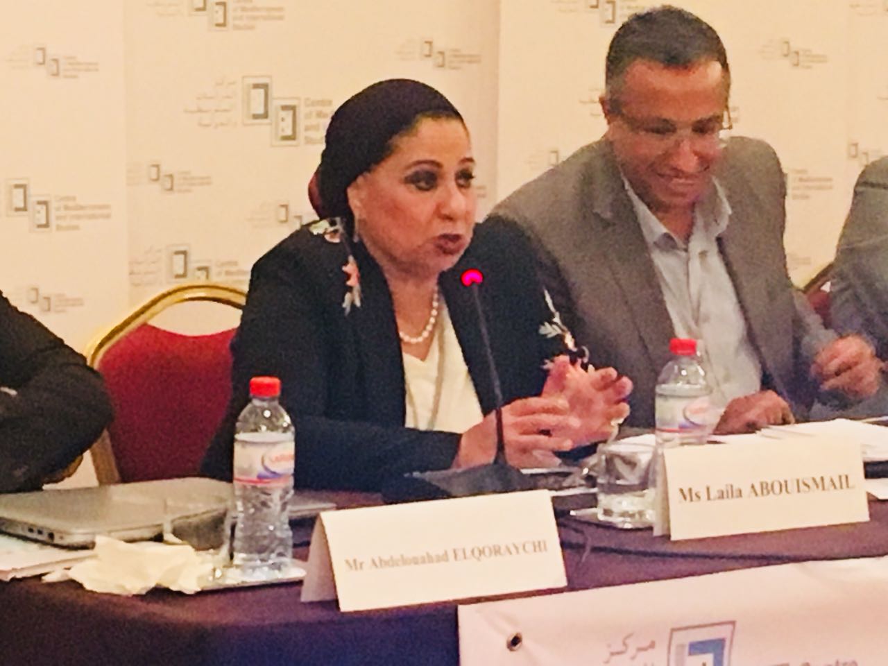 ليلى أبو إسماعيل عضو مجلس النواب