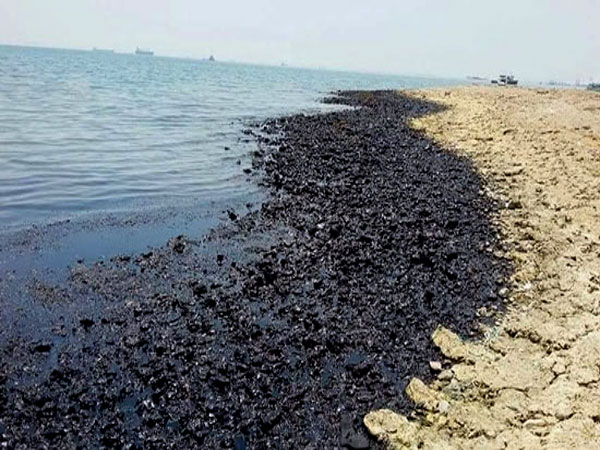تلوث بترولي في خليج السويس