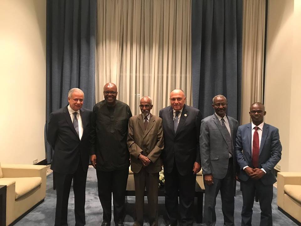 شكري يلتقي مع كل من الرئيس التنفيذي ورئيس لجنة نقاط الاتصال بالآلية الأفريقية لمراجعة النظراء
