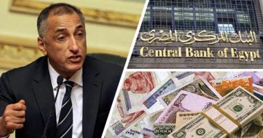 طارق عامر محافظ البنك المركزى المصرى