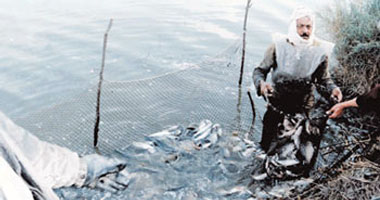 صيد أسماك - أرشيفية