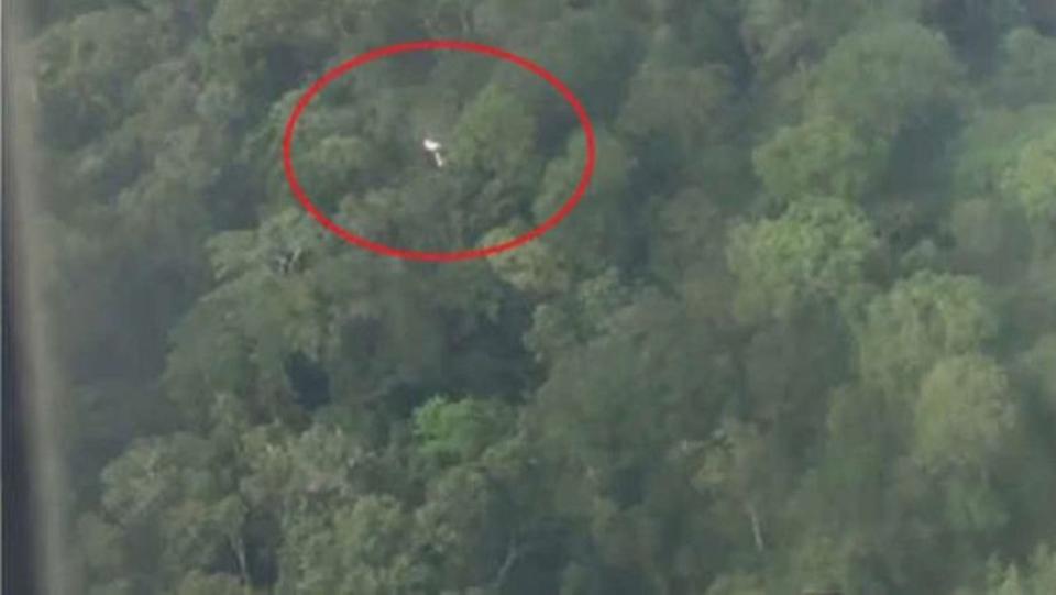 هبوط اضطراري لطائرة على أشجار في غابة الأمازون
