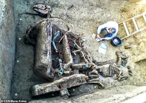 اكتشاف بقايا عربة دفنت بخيولها من العصور الرومانية في كورواتيا