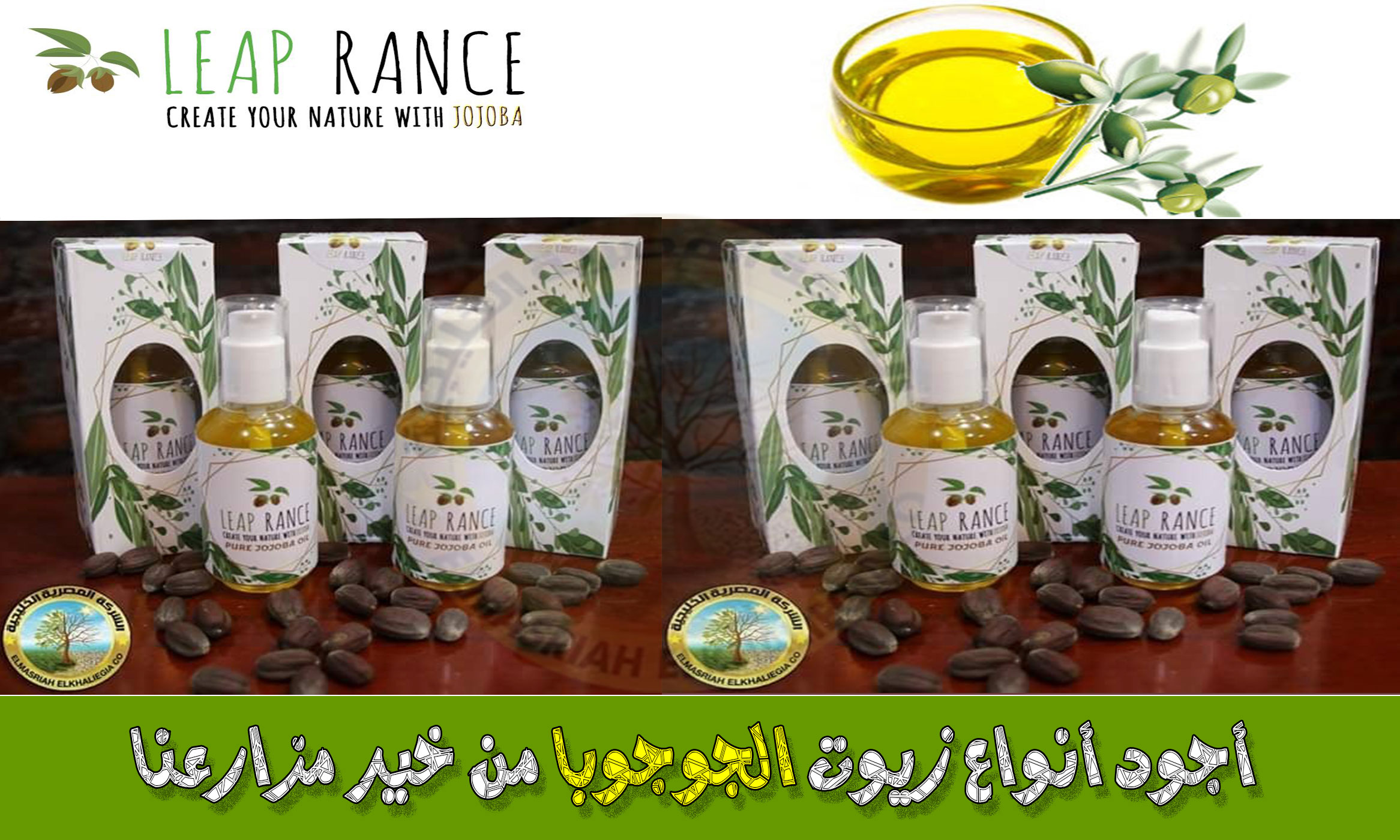 Leap Rance إحدى شركات مجموعة المصرية الخليجية لاستصلاح الأراضى