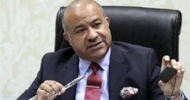 الدكتور ابراهيم عشماوى مساعد اول وزير التموين