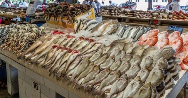أسعار الاسماك اليوم بسوق العبور