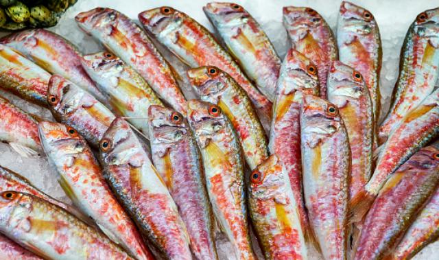 أسعار السمك اليوم في الاسواق المصرية