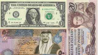 اسعار العملات العربية و الاجنبية في البنوك المصريه 25-1-2022