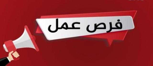 وزارة التربية و التعليم بالوادي الجديد تعلن عن وجود وظائف شاغرة