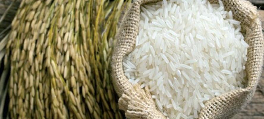 مصر تمر بأزمة في الأرز والسكر | تفاصيل