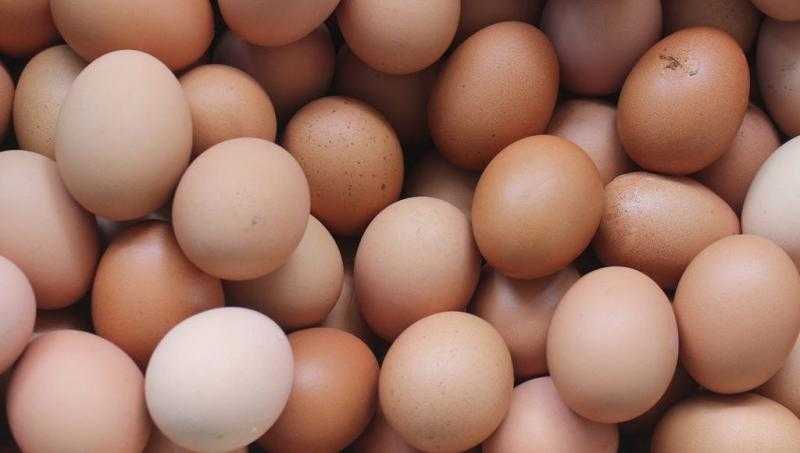 اسعار البيض في مصر اليوم الأربعاء 22 مارس 2023