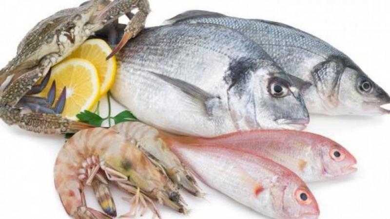 أسعار الأسماكو المأكولات البحرية اليوم الخميس 23 مارس