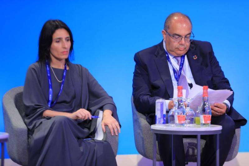 ميداني