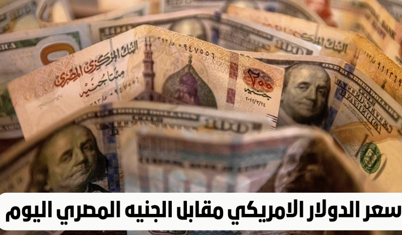 سعر الدولار اليوم