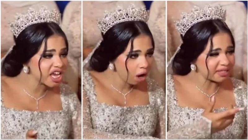 ميداني