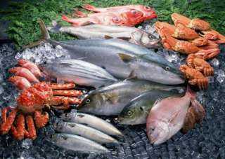 نرصد لكم جميع أسعار الأسماك بسوق العبور اليوم