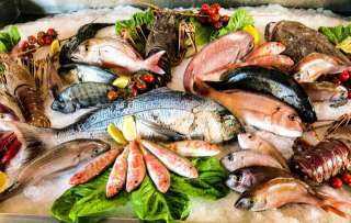 نرصد لكم أسعار الأسماك في سوق العبور اليوم