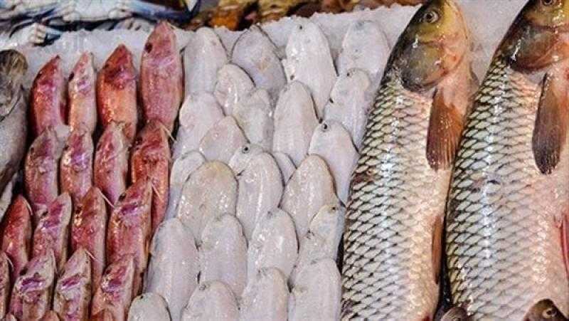 أسعار الأسماك اليوم في سوق المنيب بالجيزة