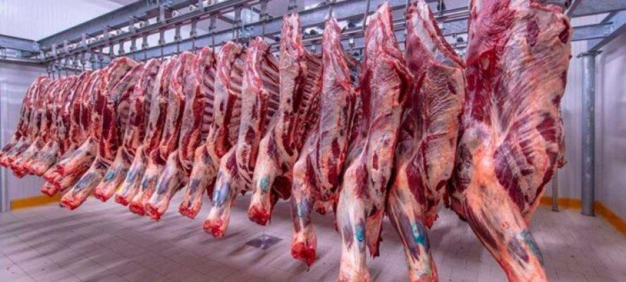 تعرف على أسعار اللحوم اليوم السبت 27 أبريل