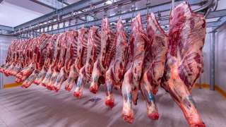 أسعار اللحوم اليوم الأربعاء 1 مايو