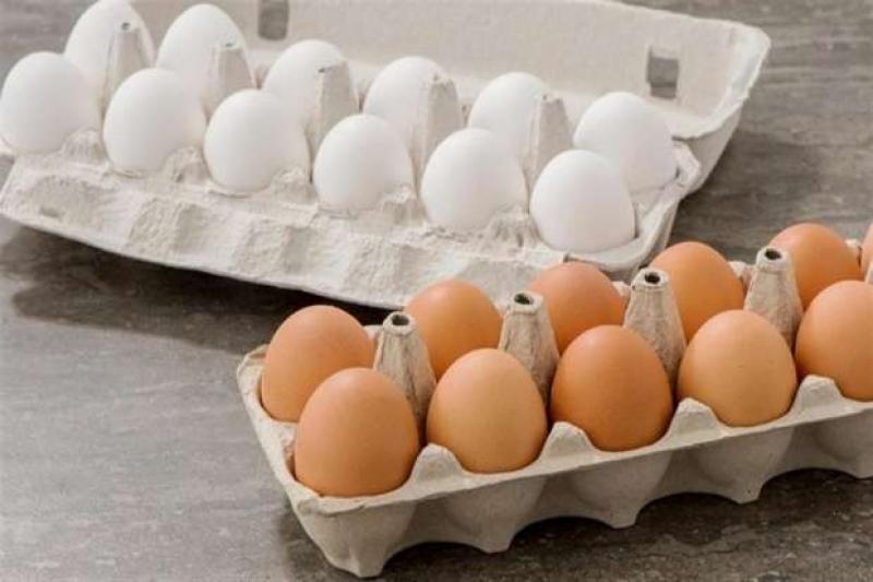 أسعار البيض في المزارع والمحال