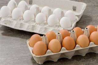 أسعار البيض في الأسواق اليوم الثلاثاء 7 مايو