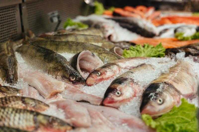 أسعار السمك اليوم الأربعاء بسوق العبور