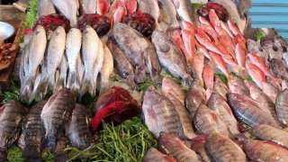 أسعار السمك والجمبري اليوم الخميس 23 مايو