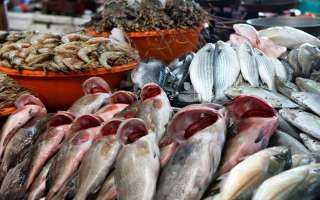أسعار الأسماك اليوم الإثنين 27 مايو