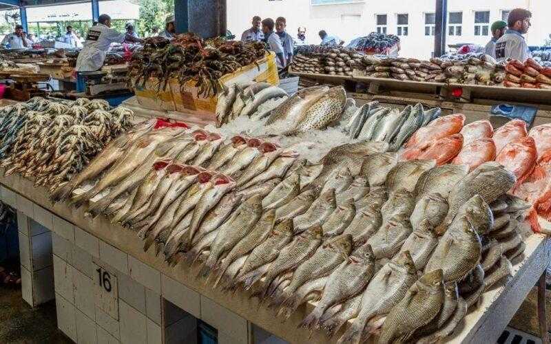 انخفاض أسعار السمك البلطي بالأسواق اليوم السبت