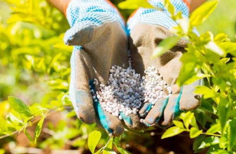 أسعار الأسمدة بالأسواق اليوم السبت 17 مايو