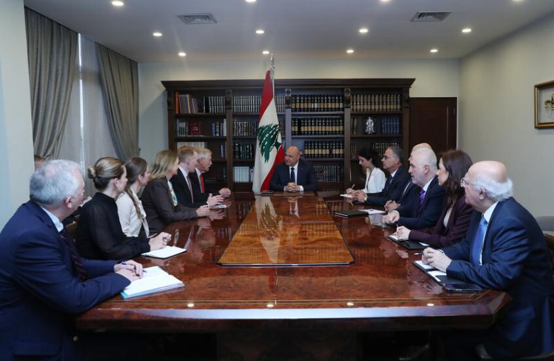 ميداني