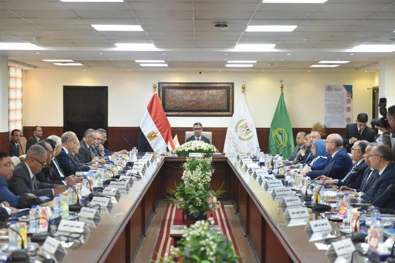 ميداني