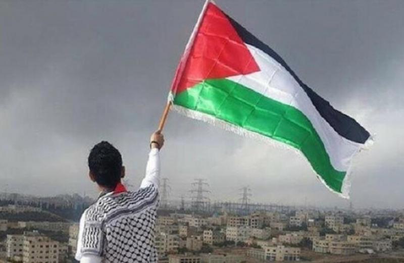 ميداني