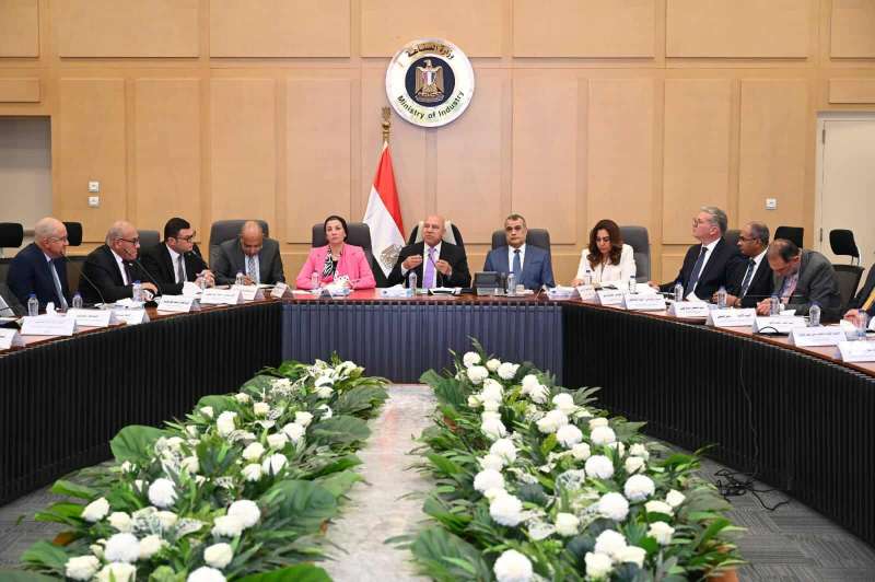 ميداني