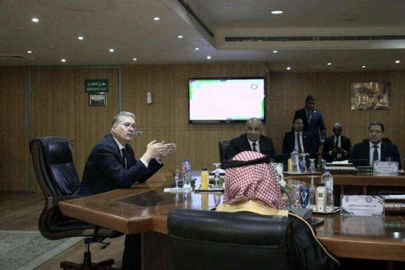 ميداني