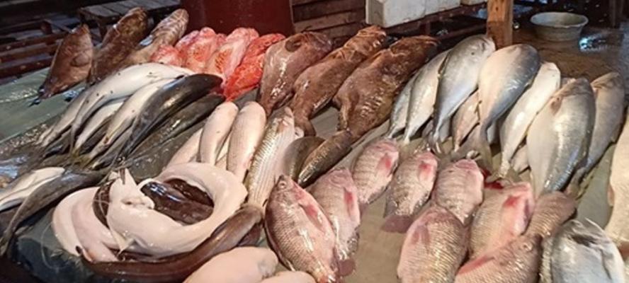 انخفاض أسعار المأكولات البحرية بالأسواق اليوم السبت