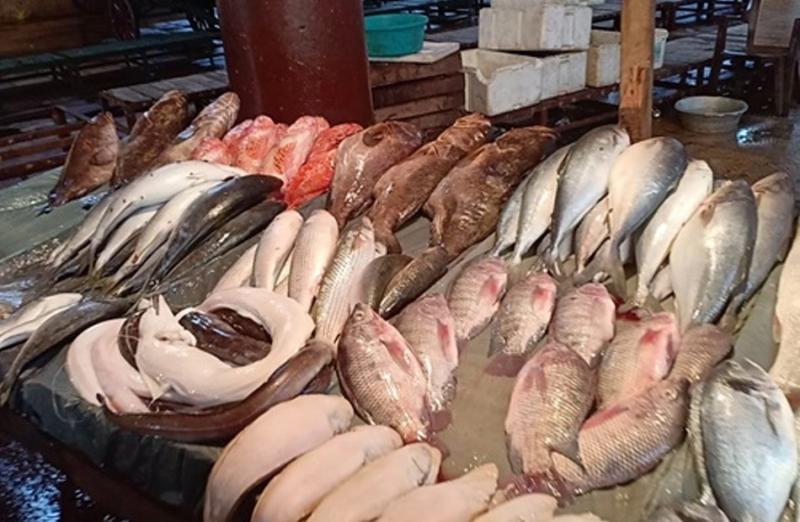 انخفاض أسعار المأكولات البحرية بالأسواق اليوم السبت